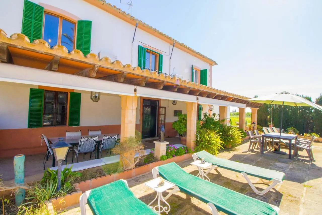 Son Prunes By North Properties Mallorca PMI